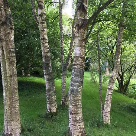 Le Pont De Benneville B&B