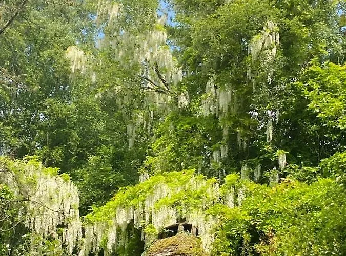 Le Pont De Benneville
