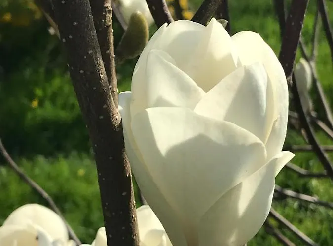 Le Pont De Benneville 3* Cahagnes